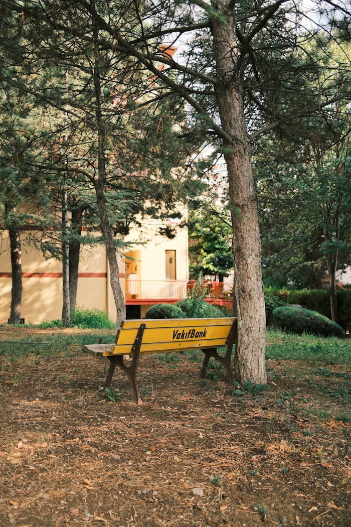 services-03 Serene park setting with a yellow bench among trees and a nearby building.